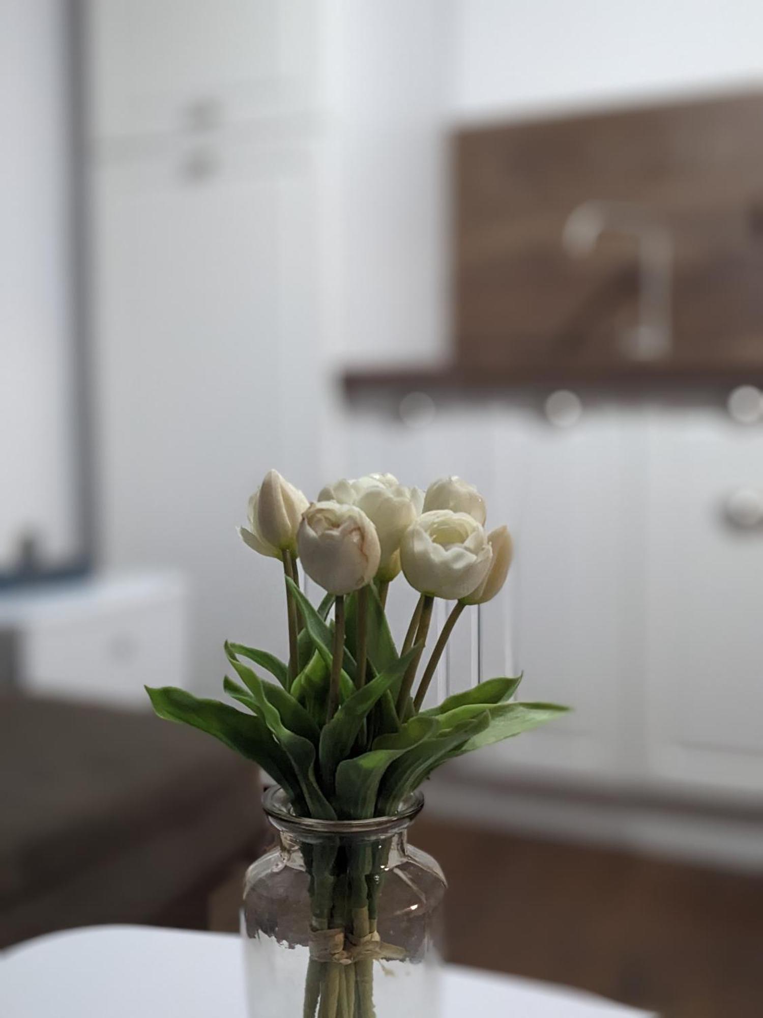 Honey I'M Home Apartments Veliko Tarnovo Buitenkant foto