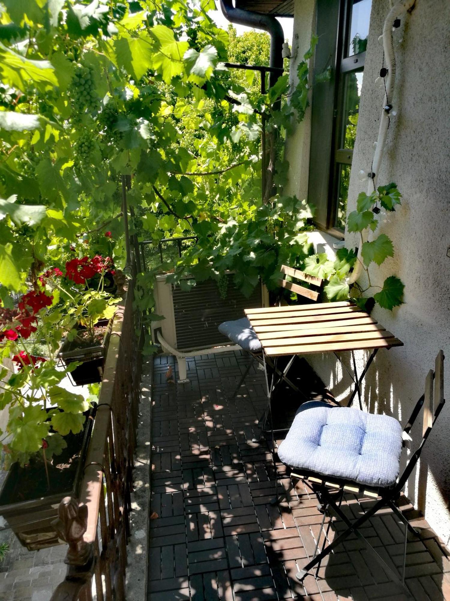 Honey I'M Home Apartments Veliko Tarnovo Kamer foto